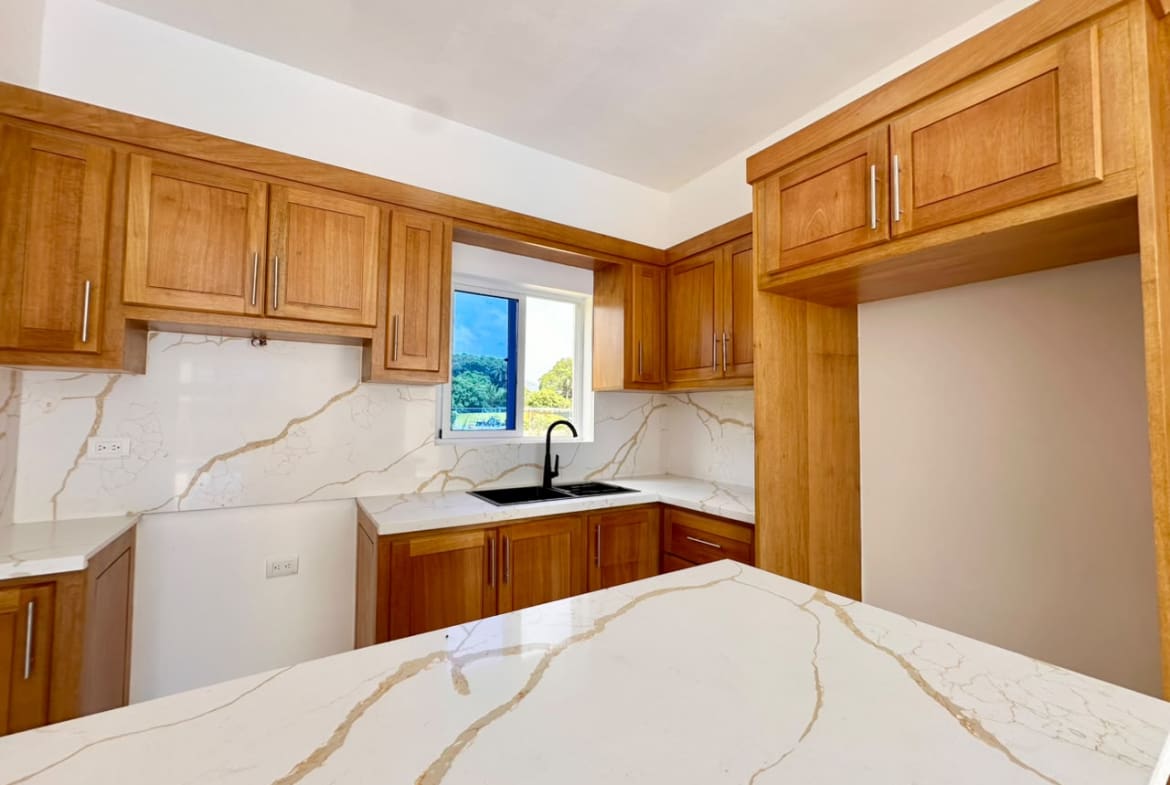 Modern kitchen with light wood cabinets, white quartz countertops, and a black sink.