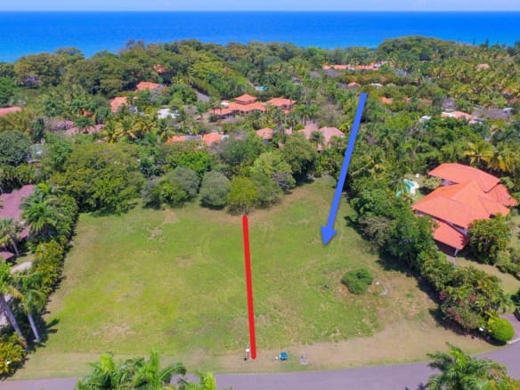 Aerial view of a vacant lot with red and blue markers, surrounded by tropical vegetation and homes.