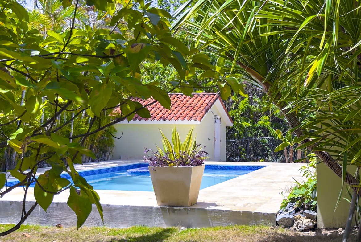 Tropical pool area with lush greenery and a small building