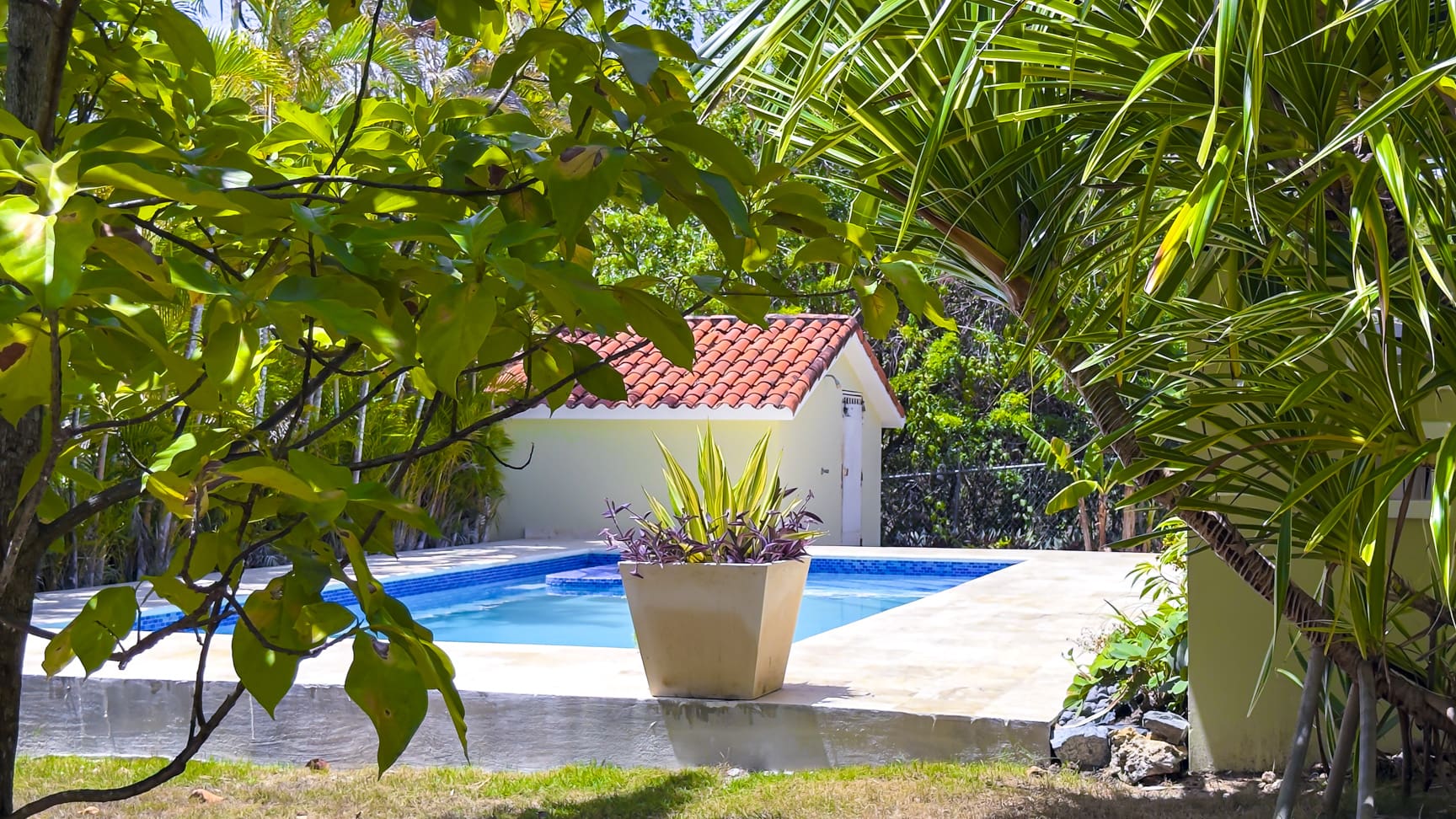 Tropical pool area with lush greenery and a small building