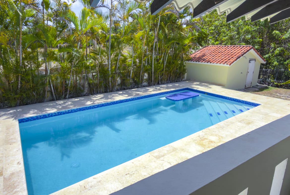 Bright blue swimming pool with tiled border and palm trees