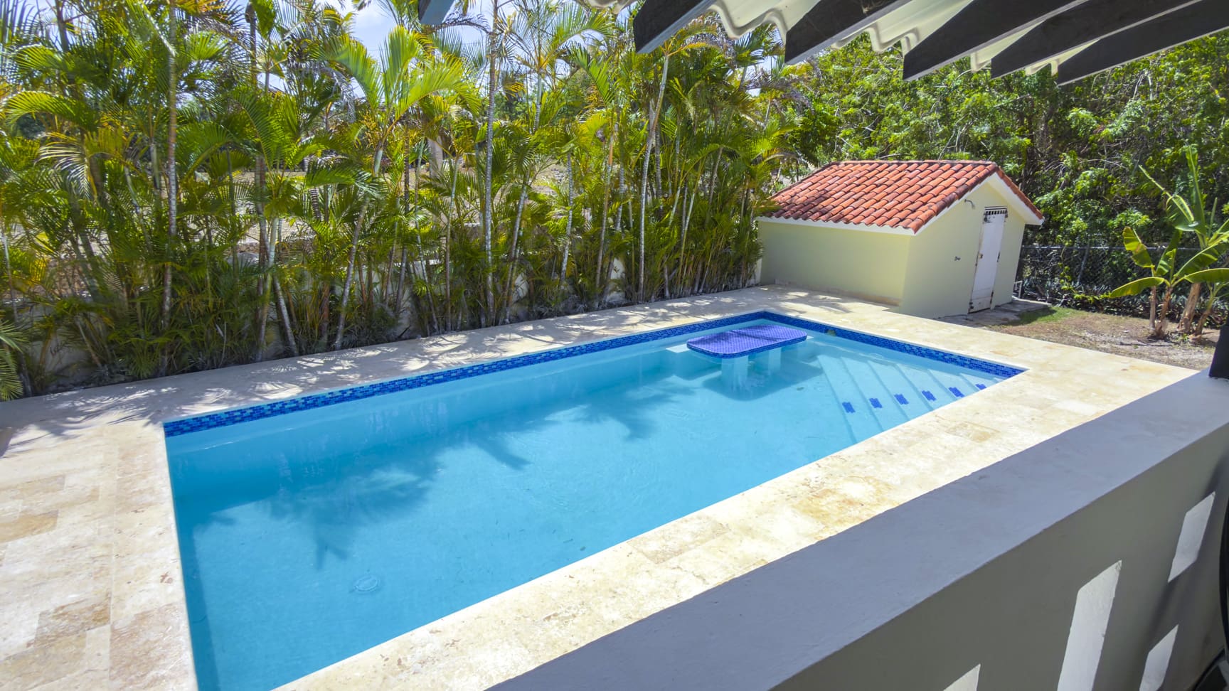 Bright blue swimming pool with tiled border and palm trees