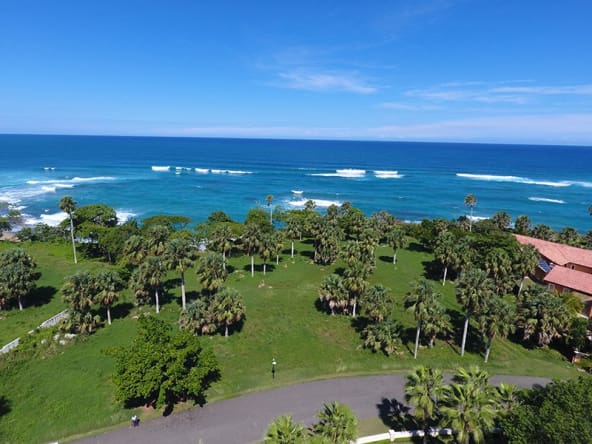 Drone view of a tropical coastline with palm trees, lush green grass, and turquoise ocean waves.