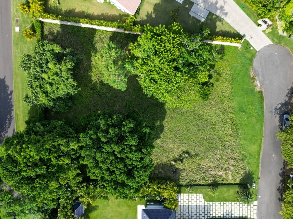 Aerial view of a lush green lot with mature trees and paved pathways.
