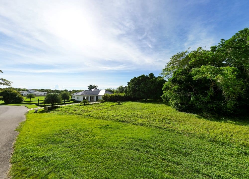 Spacious green lot with a modern white house and lush trees, ideal for a Florida home.
