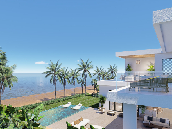 Luxury beachfront villa with infinity pool, palm trees, and ocean view