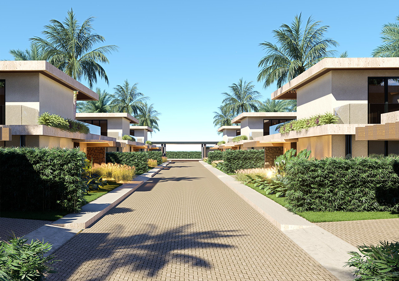 Modern tropical villas with palm trees and paved driveway
