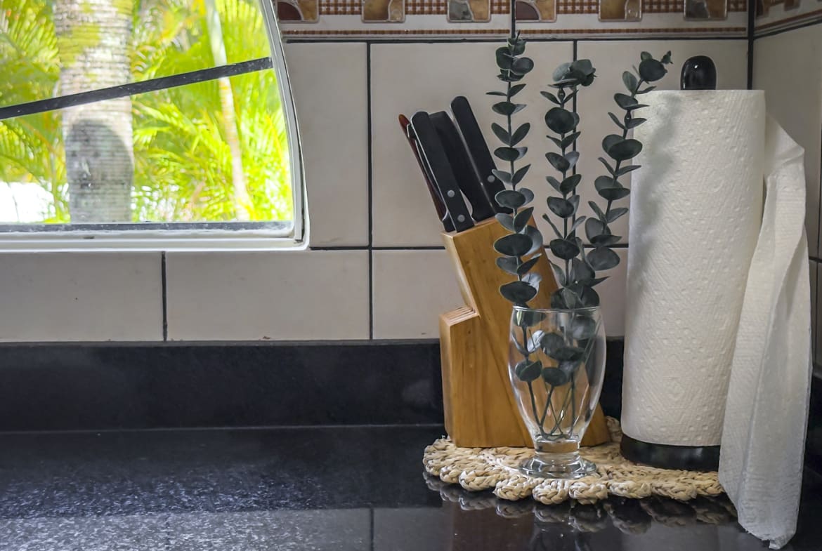 Kitchen counter with knife block, eucalyptus in a vase, and paper towel holder.