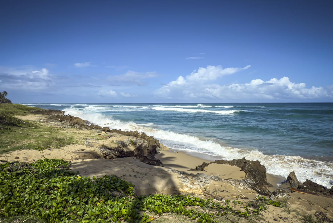Waves crash on a rocky, tropical beach with lush green vegetation under a blue sky.