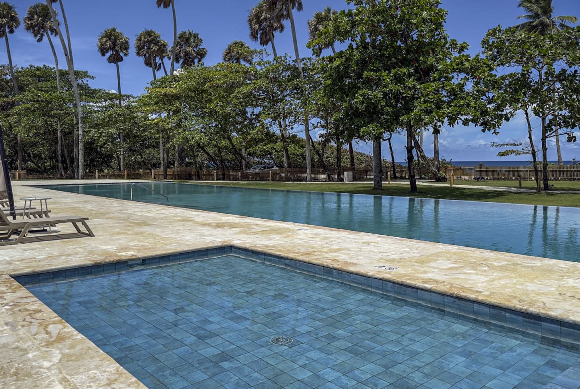 Luxury infinity pool and jacuzzi with palm trees and ocean view