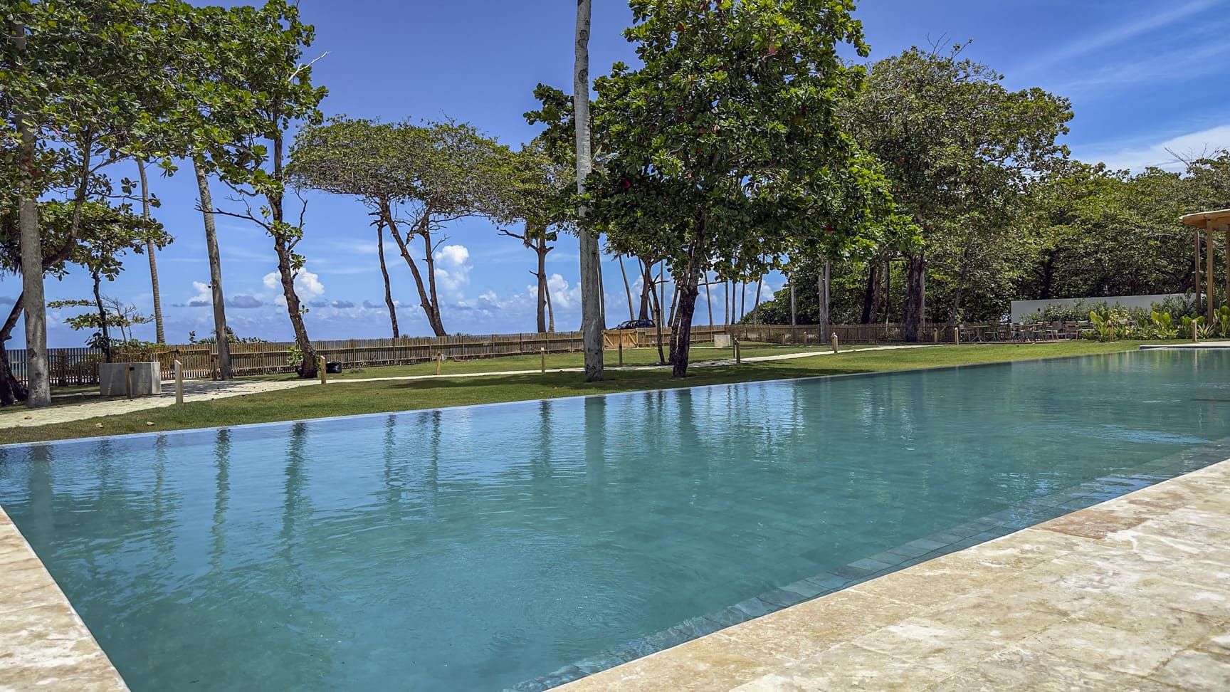 Infinity pool overlooking a tropical beach with palm trees and lush greenery.