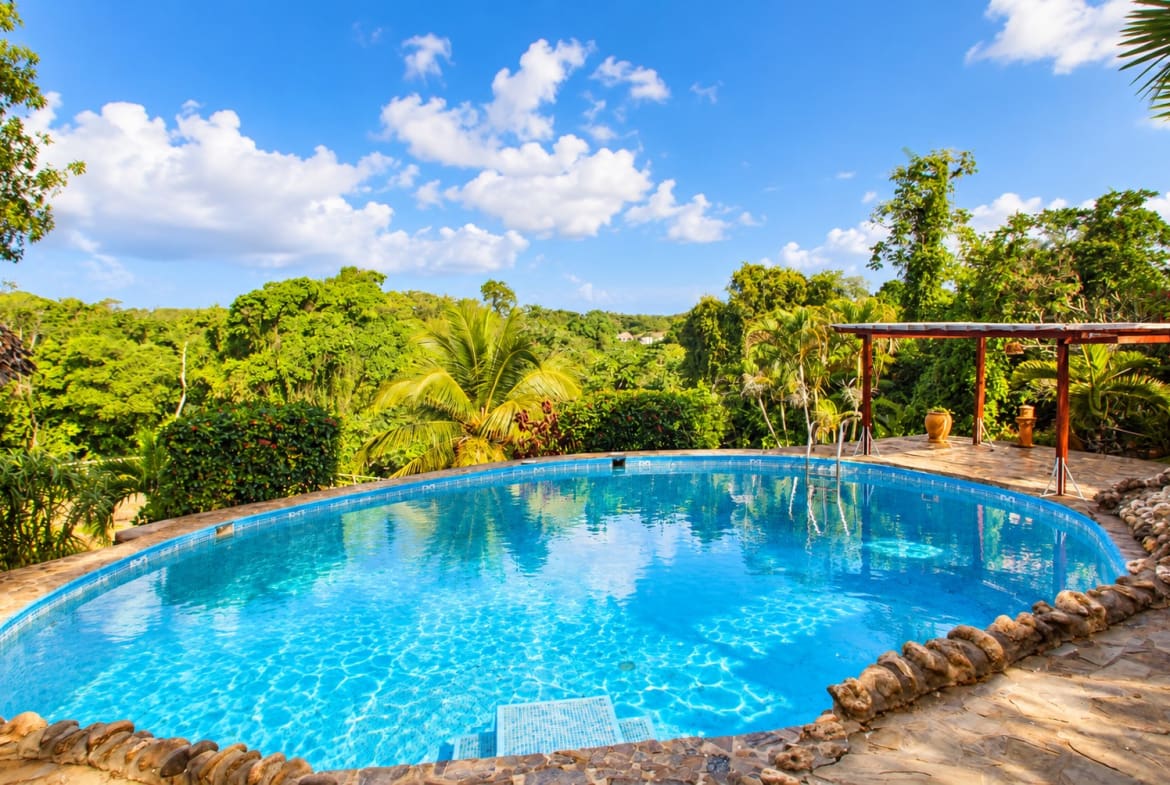 Oval swimming pool surrounded by lush tropical greenery and stone patio.