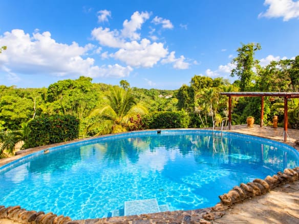 Oval swimming pool surrounded by lush tropical greenery and stone patio.