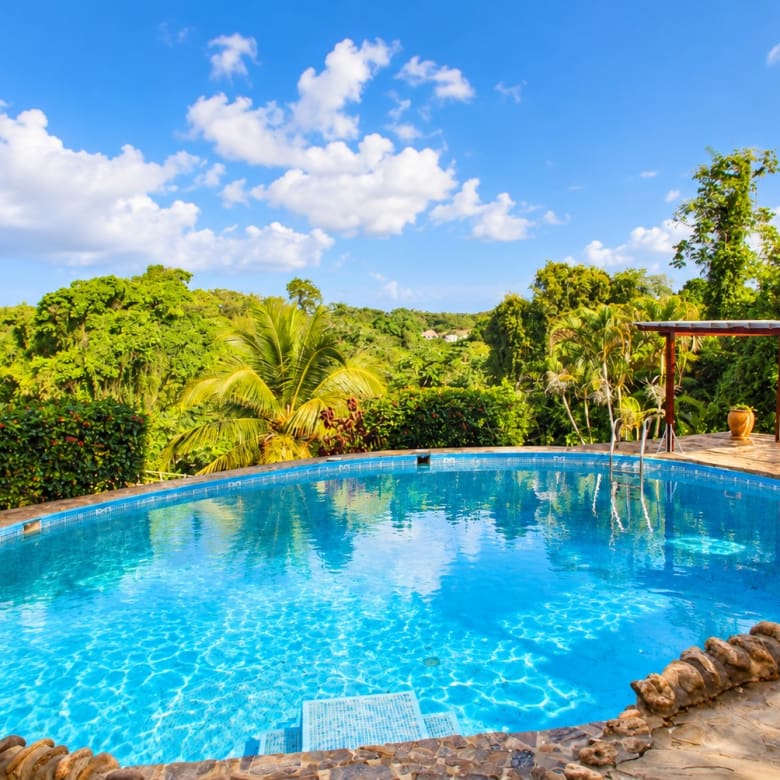 Oval swimming pool surrounded by lush tropical greenery and stone patio.
