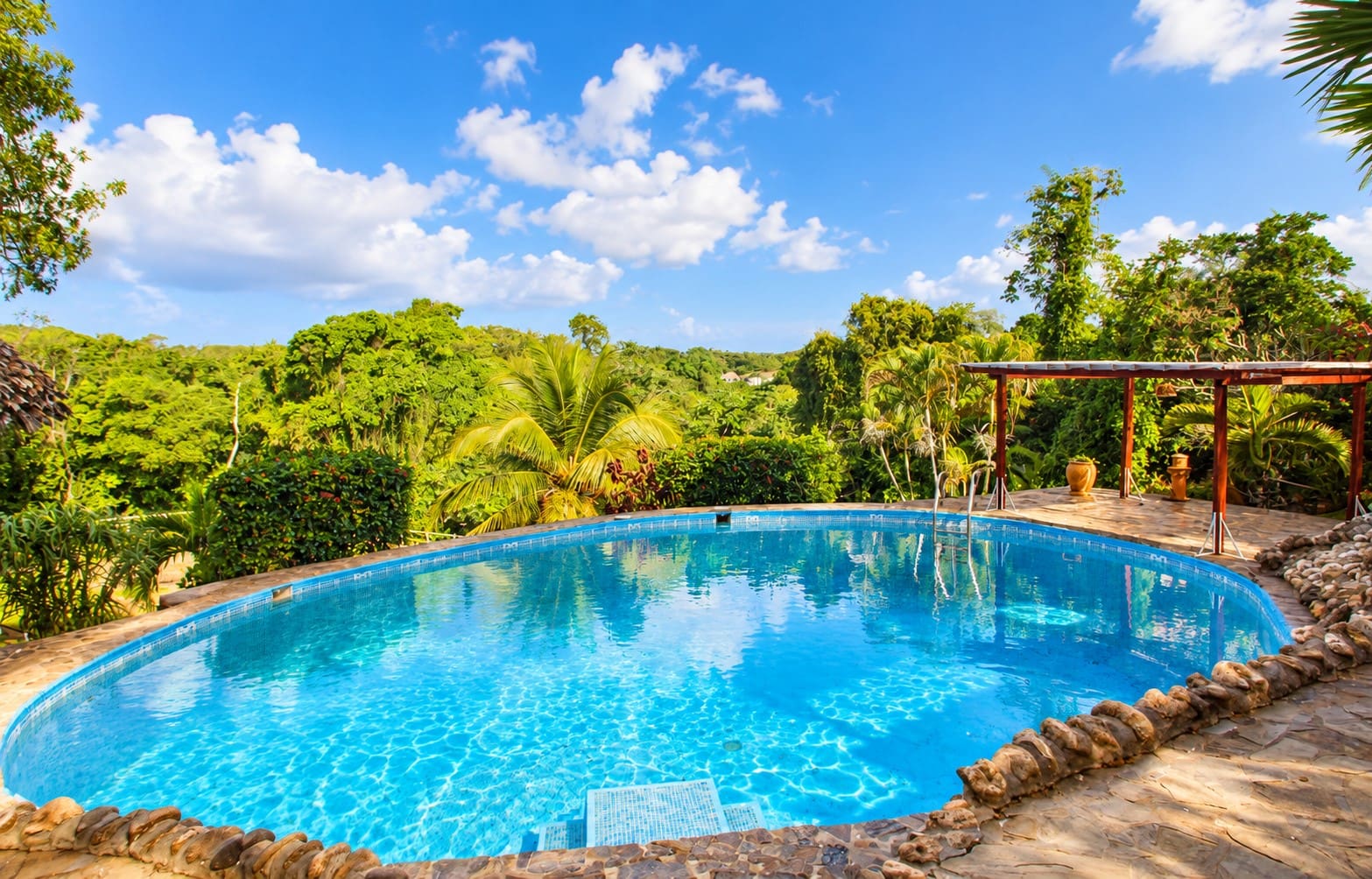 Oval swimming pool surrounded by lush tropical greenery and stone patio.