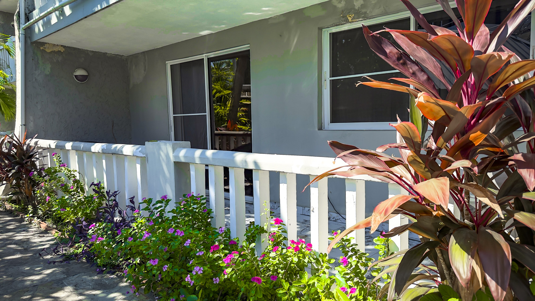 Tropical balcony with white railing, vibrant flowers, and lush foliage.