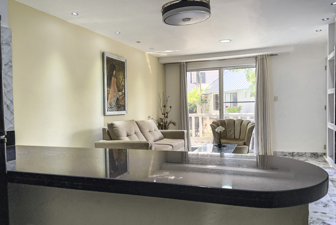 Modern apartment living room with kitchenette, featuring a sofa and armchair.