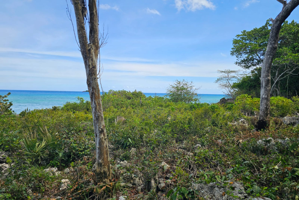 Lush green vegetation and rocky terrain leading to a turquoise ocean under a blue sky.