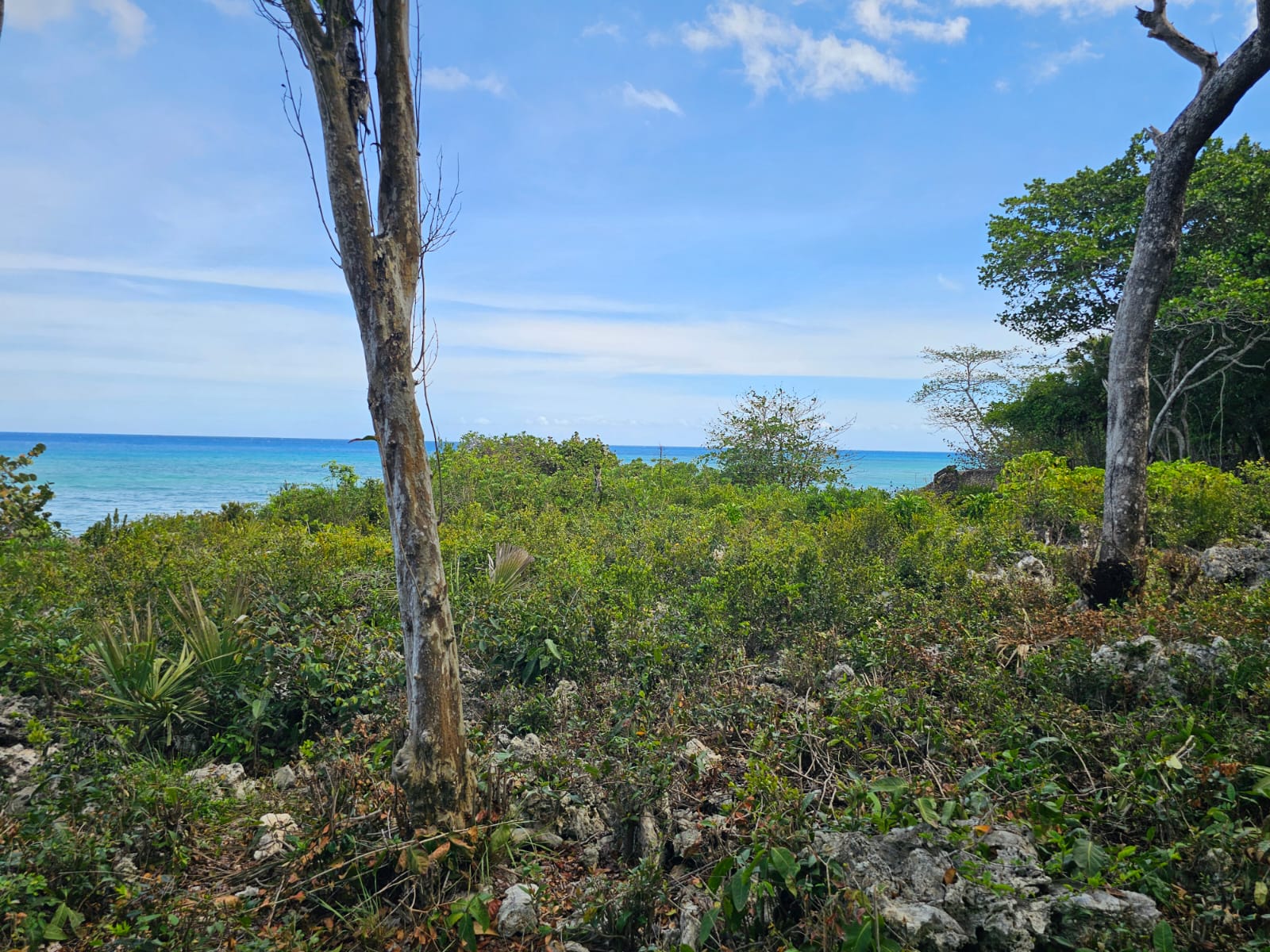 Lush green vegetation and rocky terrain leading to a turquoise ocean under a blue sky.