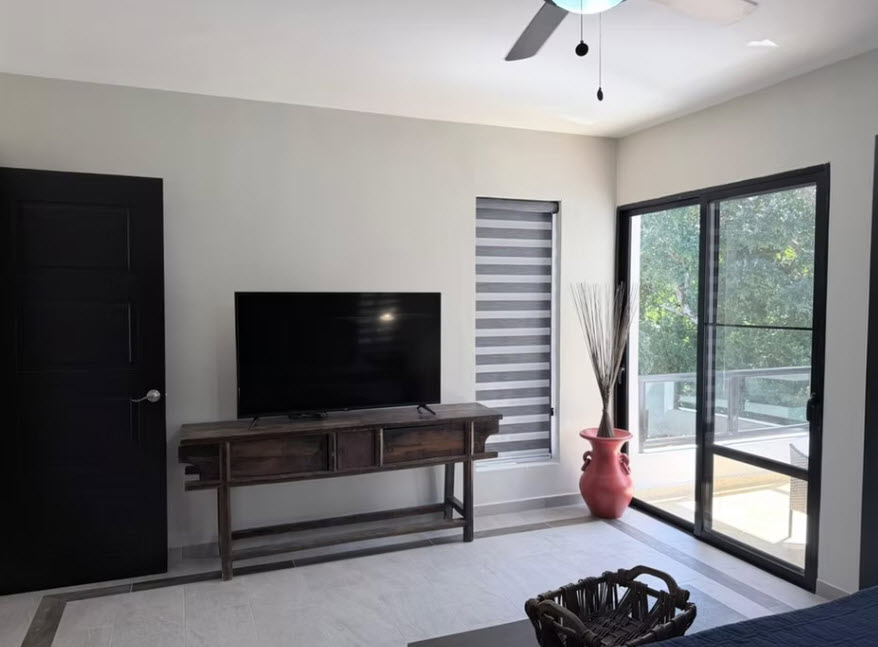 Modern living room with a large TV, dark door, and sliding glass doors