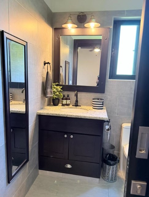Modern bathroom vanity with granite countertop, mirror, and plants.