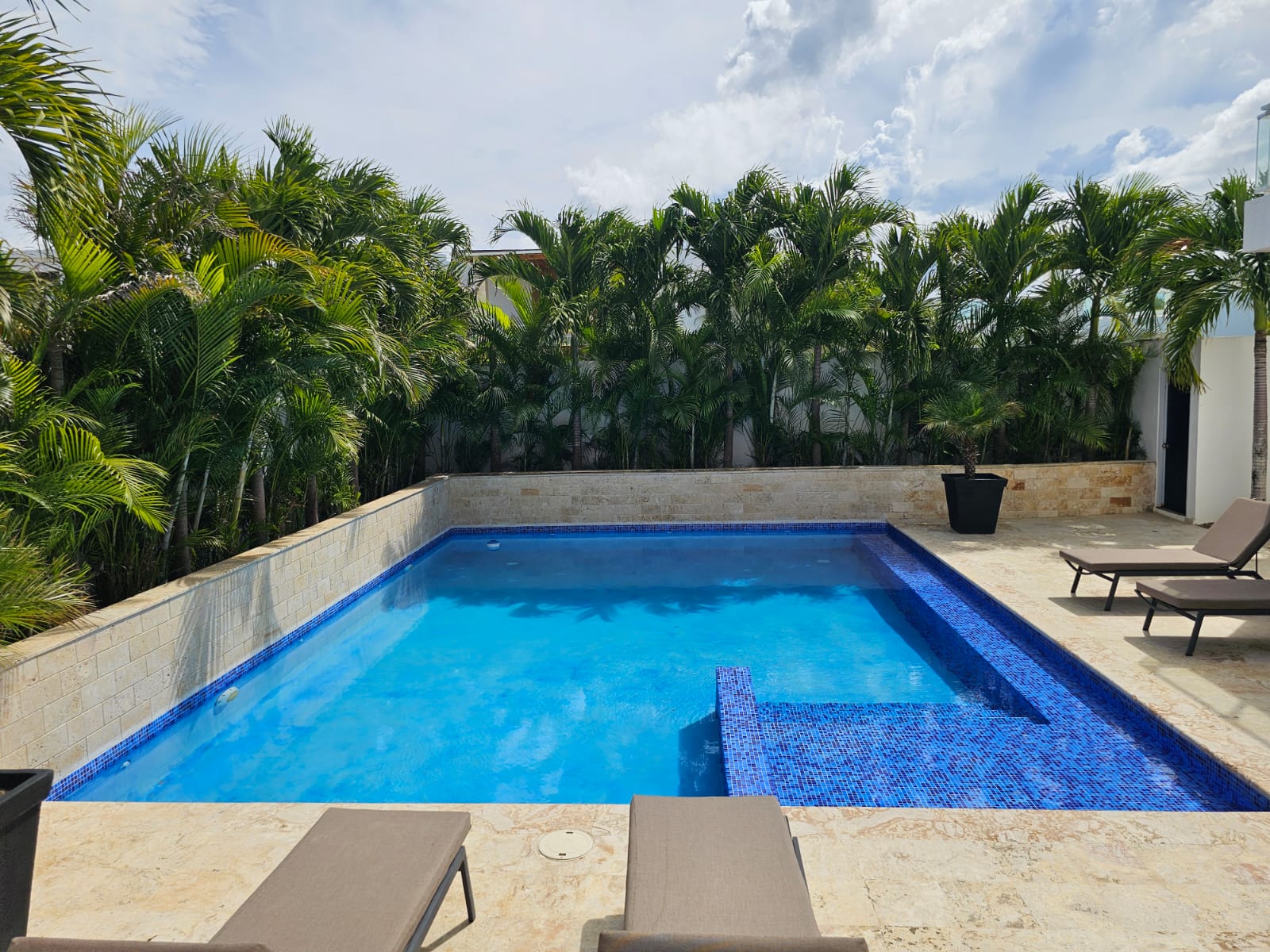 Luxury swimming pool with lounge chairs and palm trees
