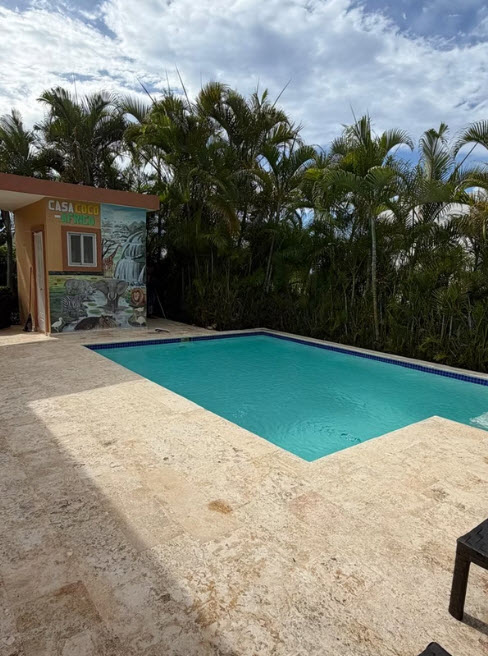 Casa Coco Loco pool with palm trees and mural