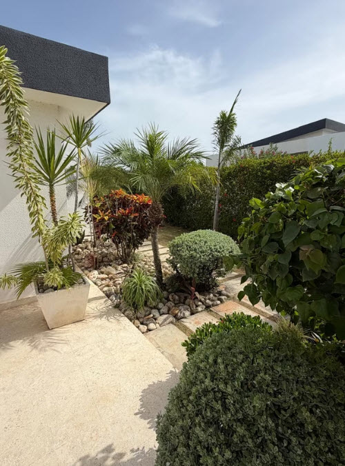 Lush tropical garden with palm trees, colorful foliage, and manicured bushes.