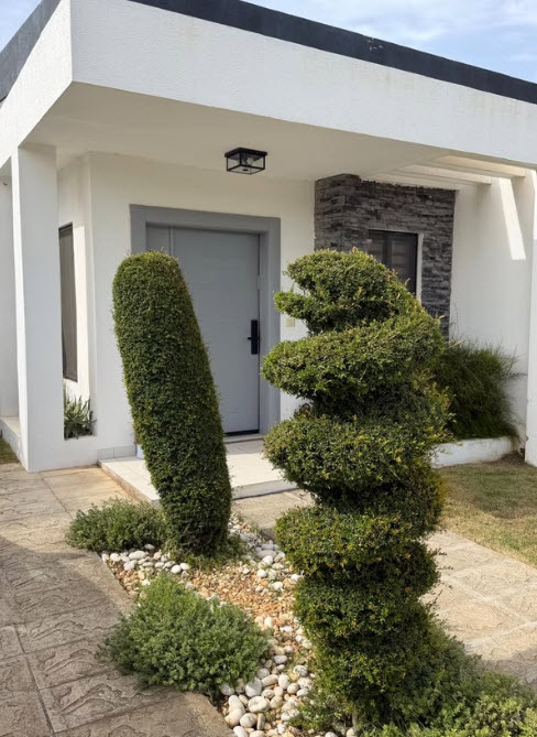Topiary bushes shaped like a dinosaur and a cylinder in front of a modern house