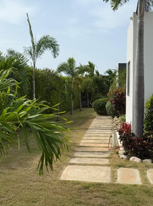Stone pathway leading through a lush garden with palm trees and vibrant foliage.