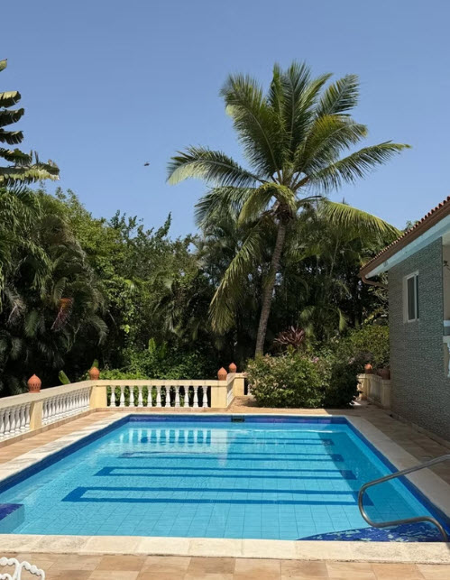Tropical backyard with a bright blue swimming pool and palm trees
