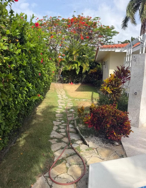 Stone pathway through a lush green garden with a blooming tree