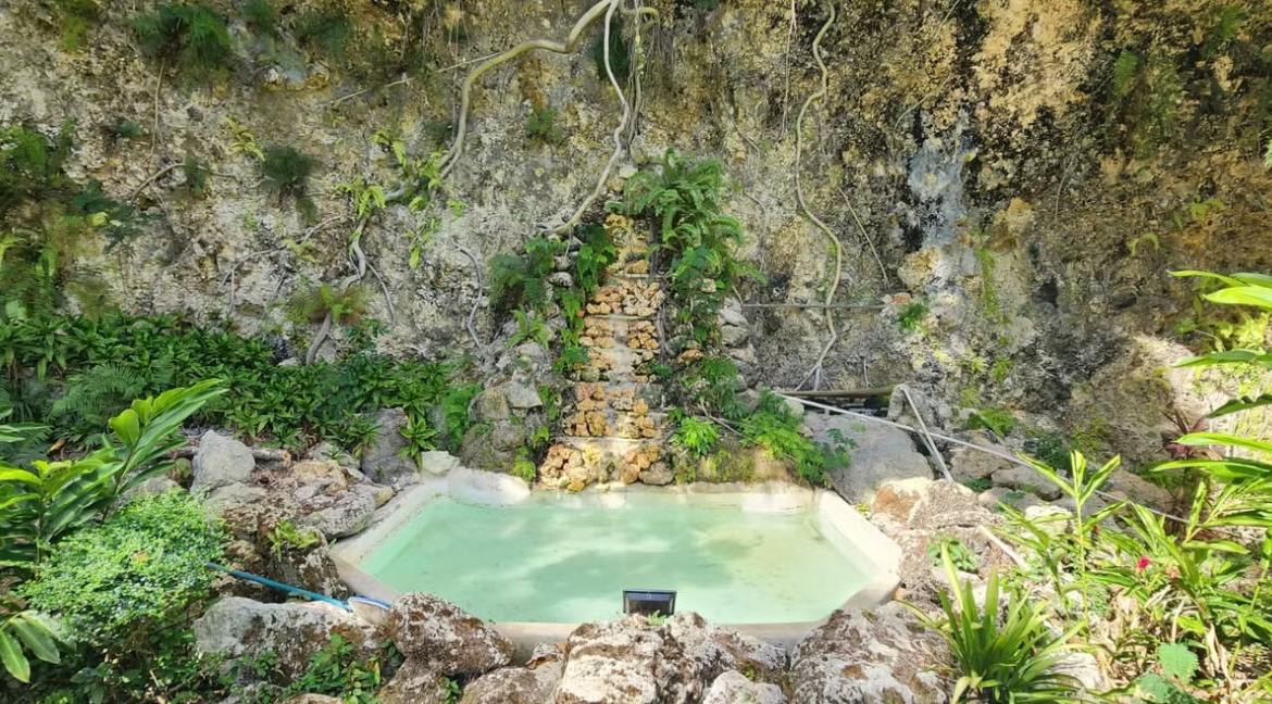 Natural rock grotto with a small waterfall feeding a turquoise pool, surrounded by lush green plants.