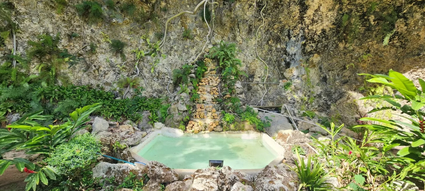 Natural rock grotto with a small waterfall feeding a turquoise pool, surrounded by lush green plants.