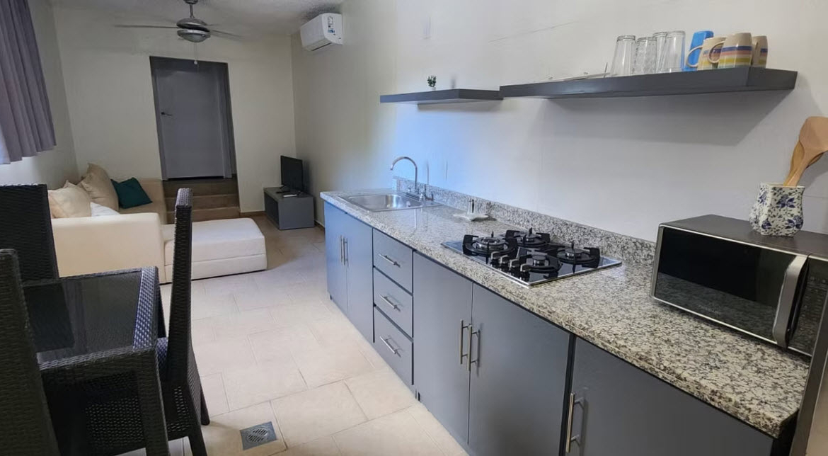 Modern apartment kitchen with granite countertops and stainless steel appliances