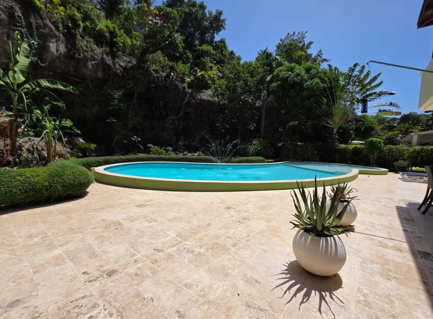 Tropical backyard swimming pool with lush greenery and rock cliff