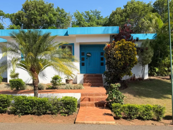 Modern tropical home with bright blue door and lush landscaping