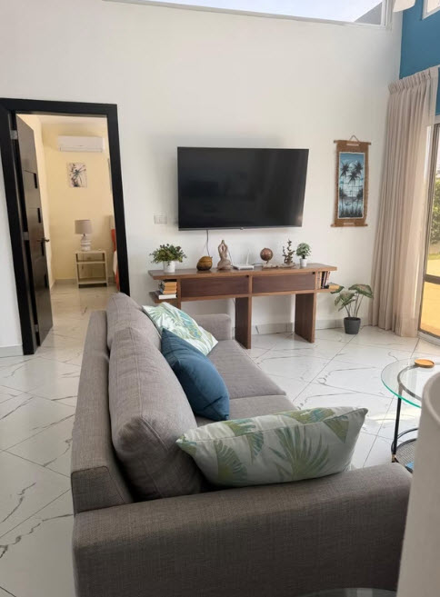 Modern living room with gray sofa, mounted TV, and tropical decor