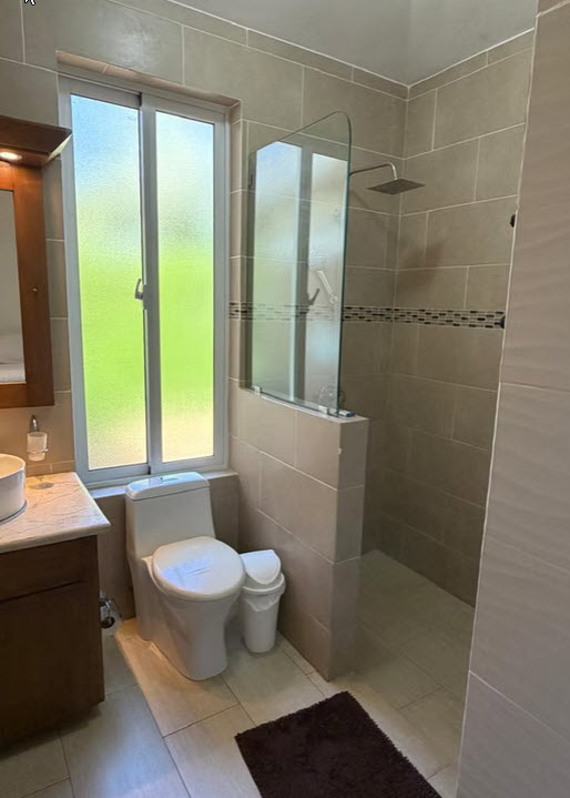 Modern bathroom with walk-in shower, toilet, and vanity with natural light.