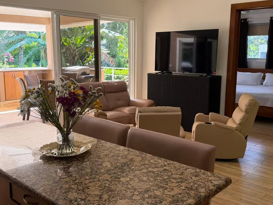 Living room with plush recliners, TV, and tropical view