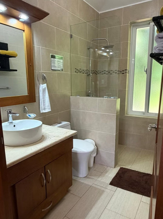 Modern bathroom with tiled shower, vanity, and toilet