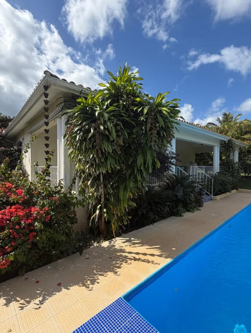 Tropical villa with pool and lush greenery under a blue sky