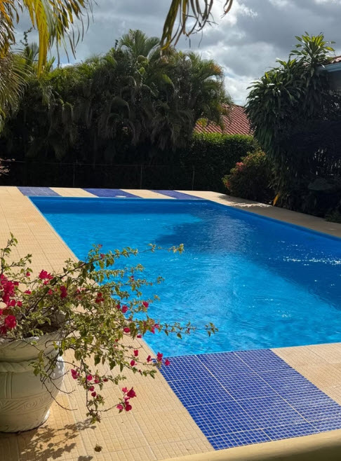 Bright blue swimming pool with tiled border and lush green foliage