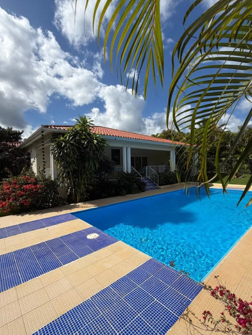 Luxury villa with pool and palm trees in tropical setting
