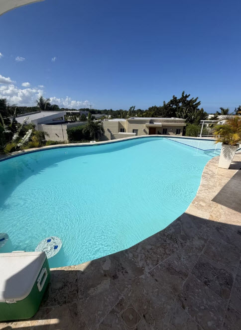 Large, bright blue swimming pool with stone patio and palm trees