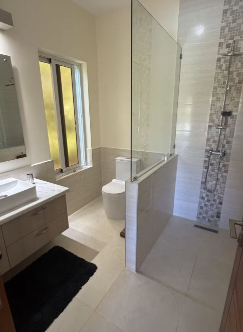 Modern bathroom with a walk-in shower, toilet, and vanity with sink