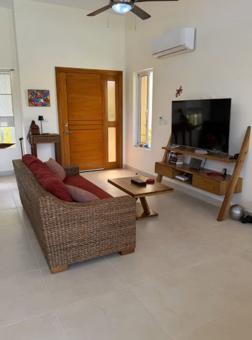Modern living room with wicker sofa, wooden coffee table, and TV.