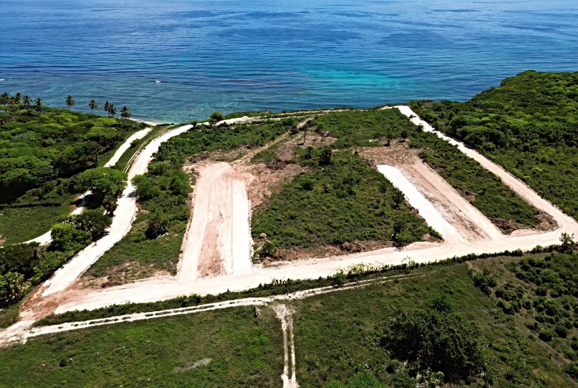 Aerial view of coastal land development with roads and cleared plots by the ocean.