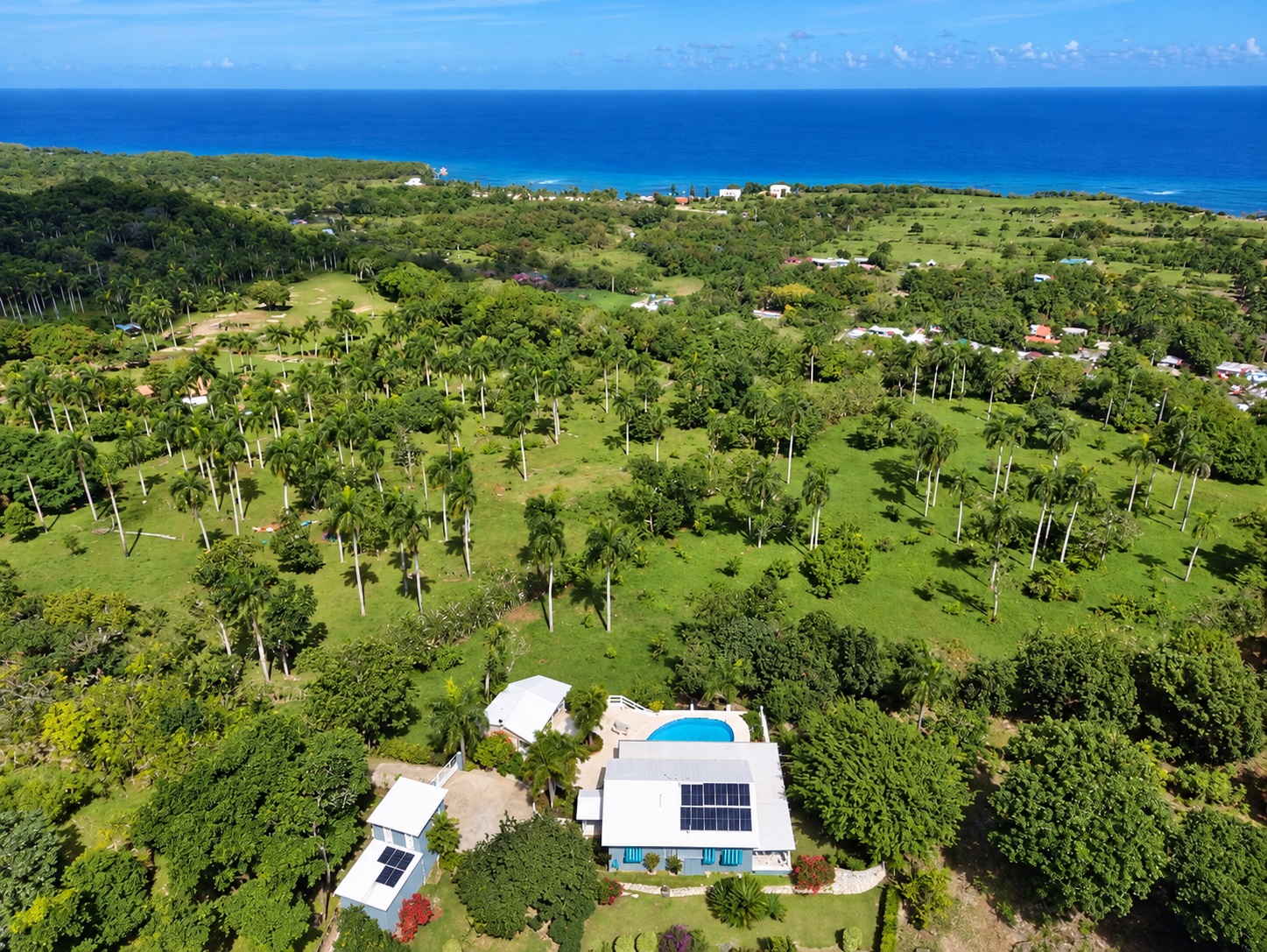 Aerial view of a tropical estate with palm trees, a pool, and ocean in the distance.